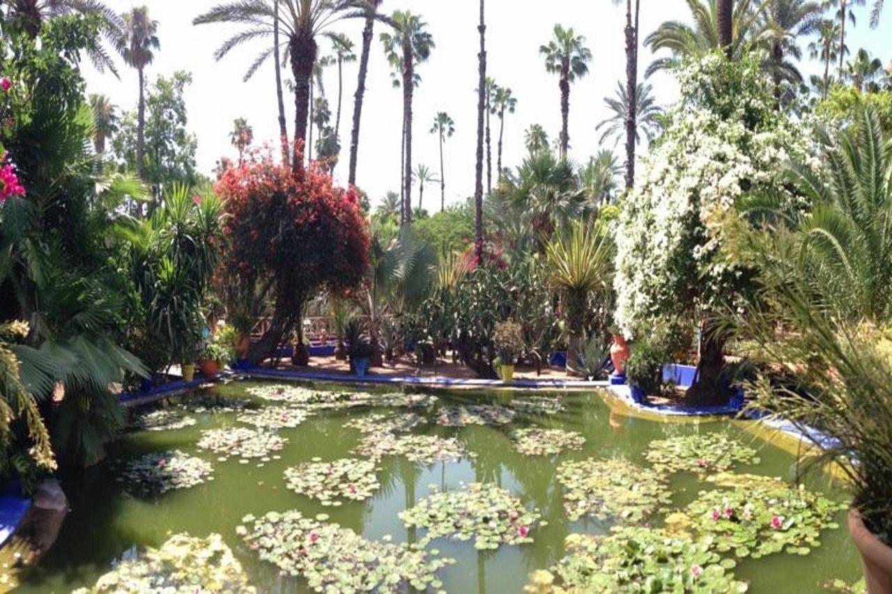 מרקש Riad Villa Harmonie מראה חיצוני תמונה